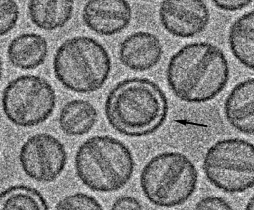 Advanced Microscopy Platforms
